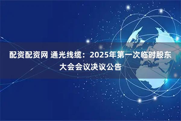 配资配资网 通光线缆：2025年第一次临时股东大会会议决议公告